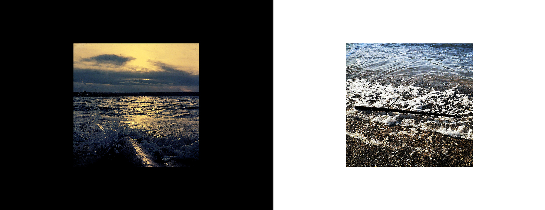 photos from the Yashica Collection